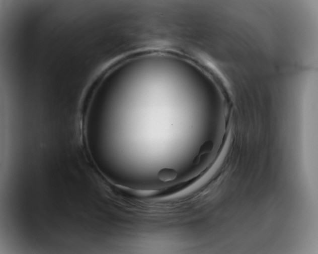 X0000090481320200707131309
