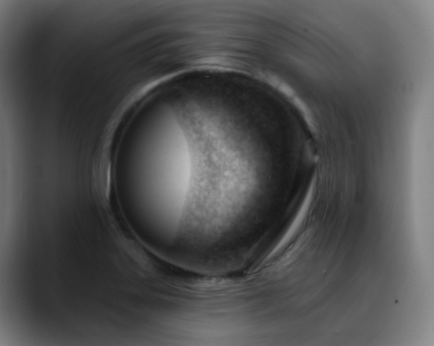 X0000090481323200707131309