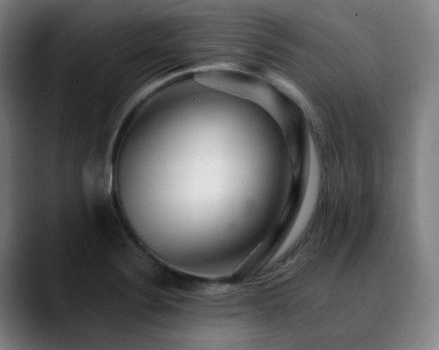 X0000090481324200707131309