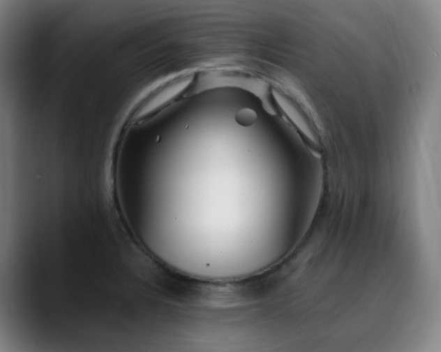 X0000090481328200707131309