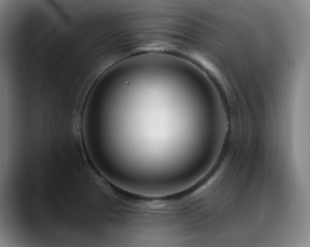 X0000090481329200707131309