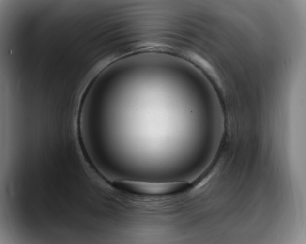 X0000090481330200707131309