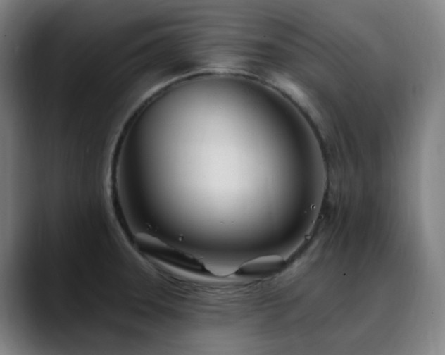 X0000090481331200707131309