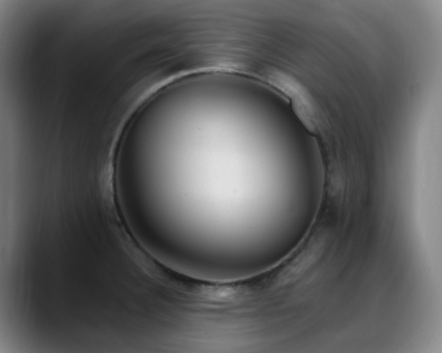 X0000090481332200707131309