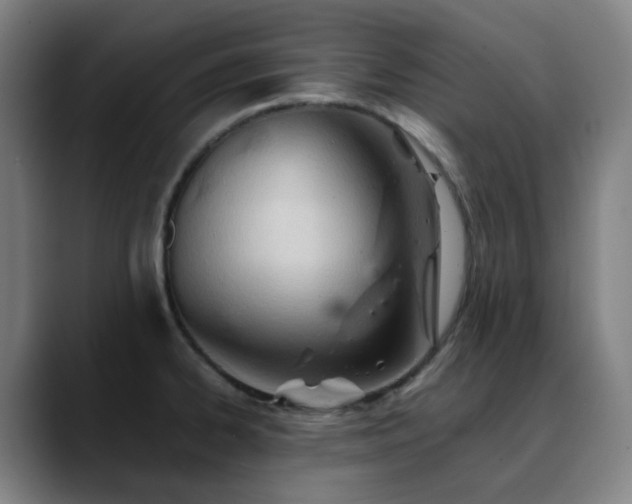 X0000090481334200707131309