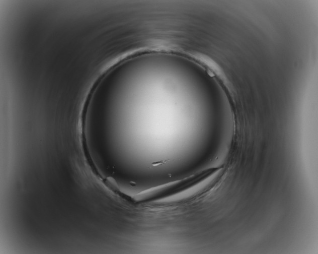 X0000090481335200707131309
