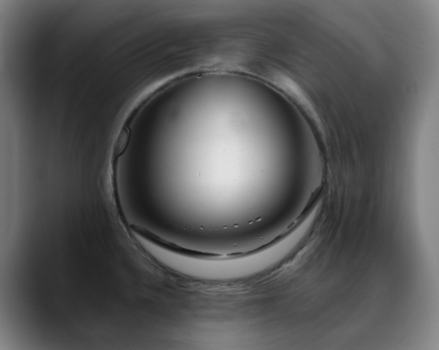 X0000090481336200707131309
