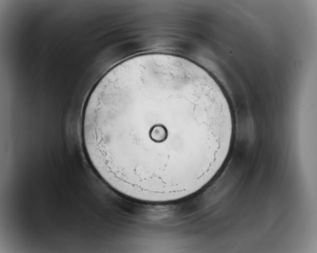 X0000090481338200707131309