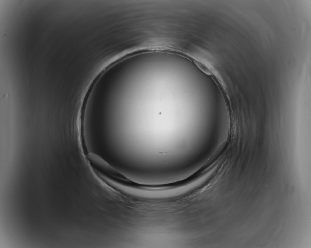X0000090481343200707131309