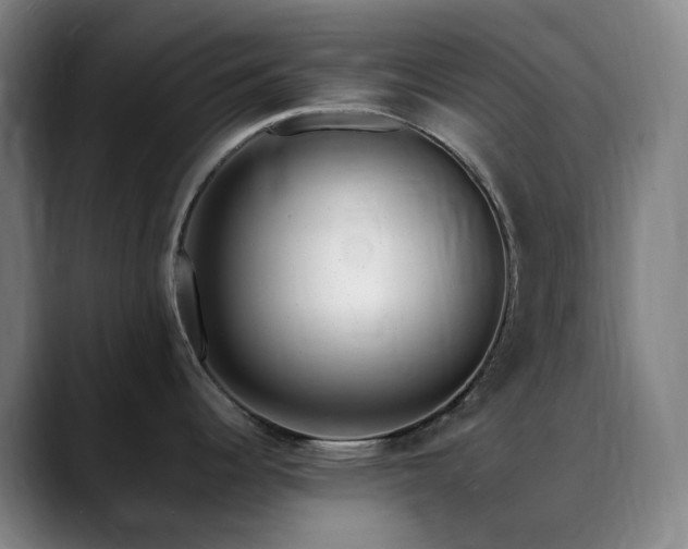 X0000090481344200707131309