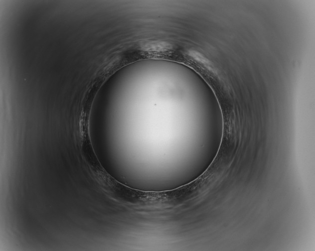 X0000090481346200707131308
