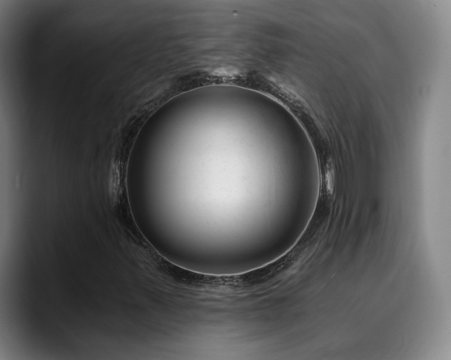 X0000090481347200707131308