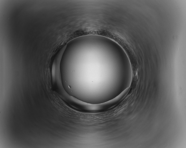 X0000090481348200707131308