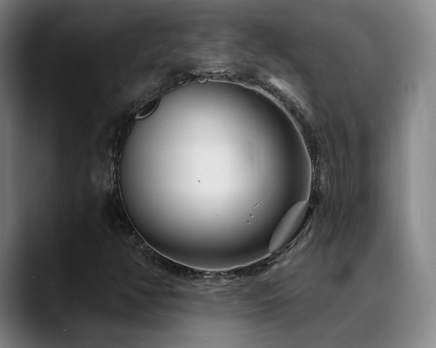 X0000090481350200707131308
