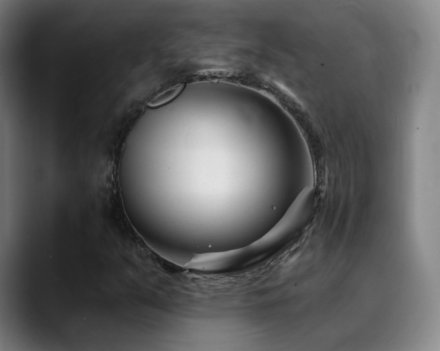 X0000090481351200707131308