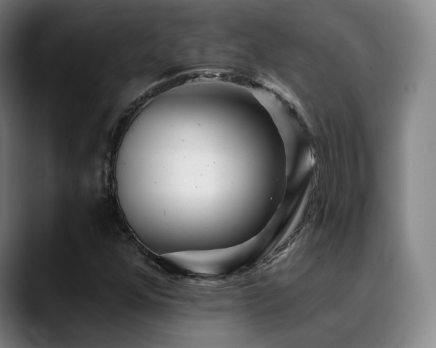 X0000090481352200707131308