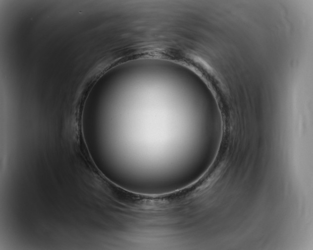 X0000090481354200707131308