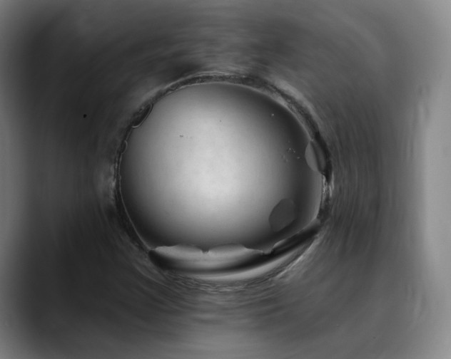 X0000090481355200707131308