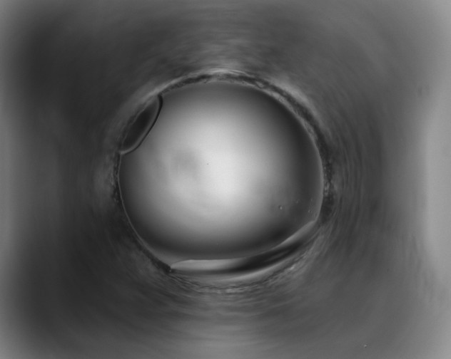 X0000090481359200707131308