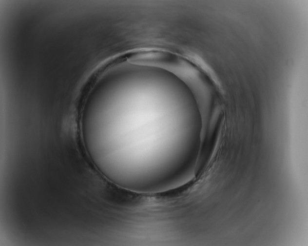 X0000090481360200707131308