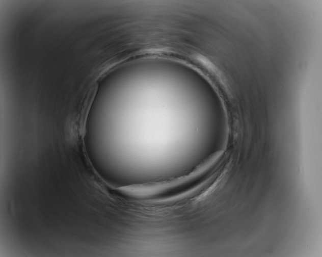 X0000090481361200707131308