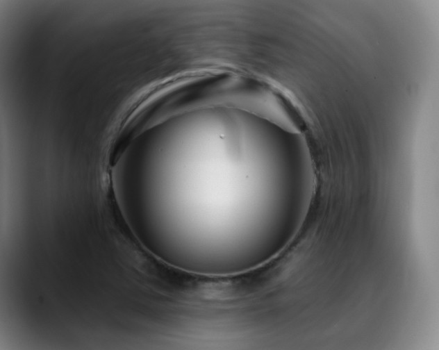 X0000090481363200707131308
