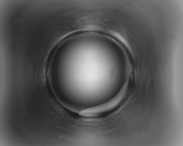 X0000090481364200707131308