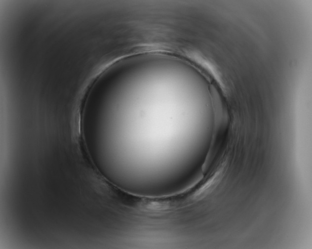 X0000090481365200707131308
