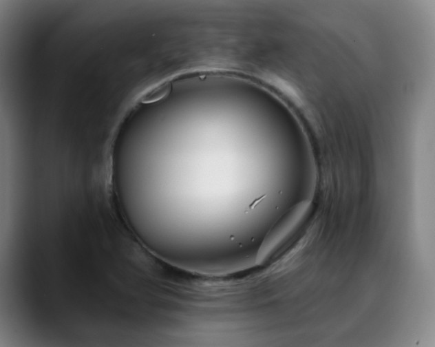 X0000090481366200707131308