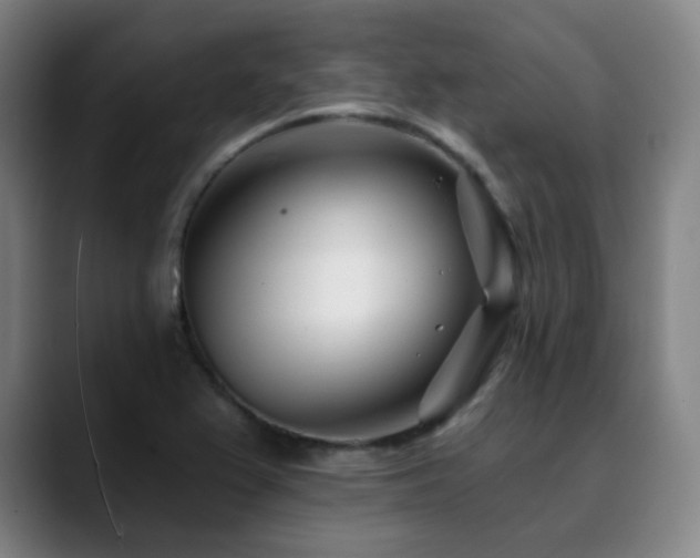 X0000090481367200707131308
