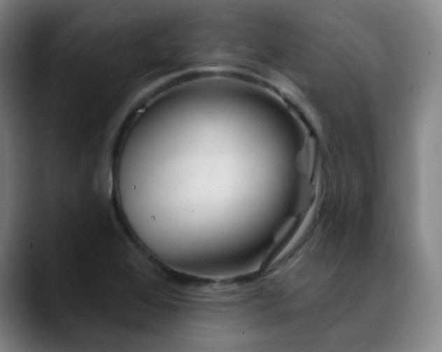 X0000090481368200707131308