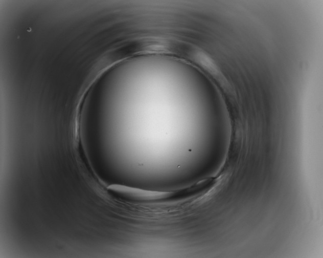 X0000090481370200707131308