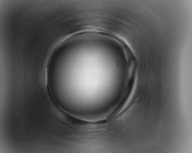 X0000090481371200707131308