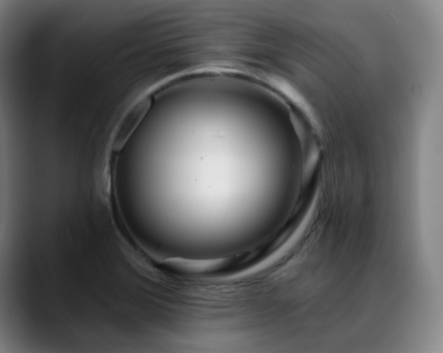 X0000090481372200707131308