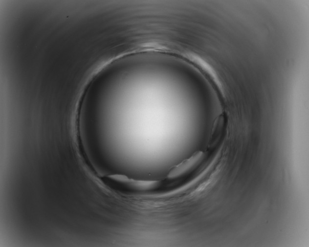 X0000090481373200707131308