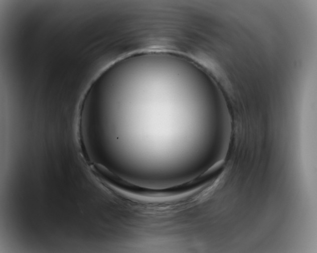 X0000090481374200707131308
