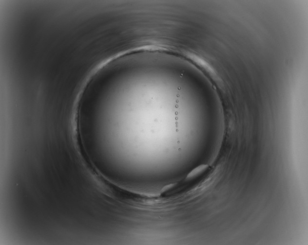 X0000090481375200707131308
