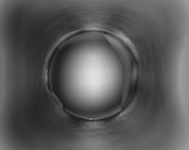X0000090481376200707131308