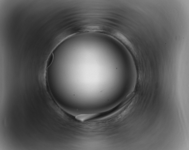 X0000090481378200707131308