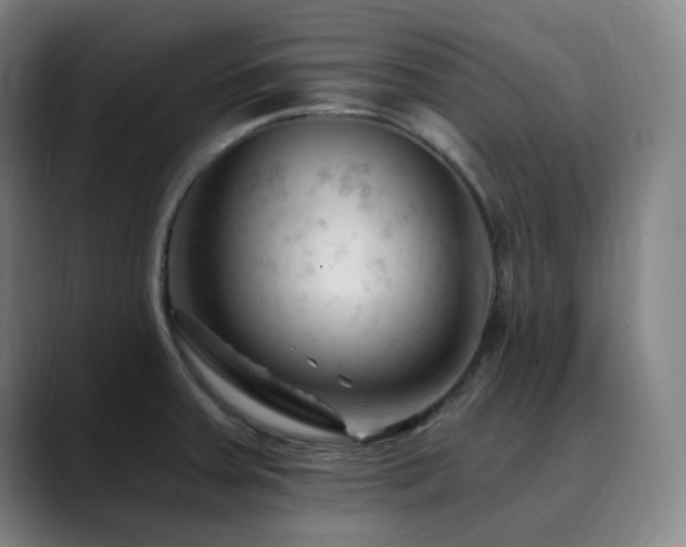 X0000090481379200707131308
