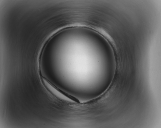 X0000090481380200707131308