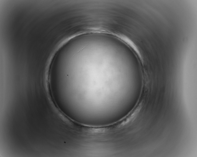 X0000090481381200707131308