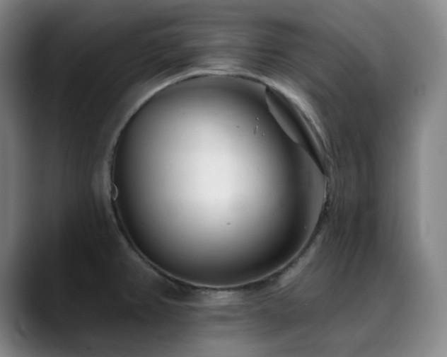 X0000090481382200707131308