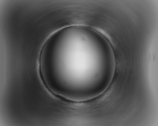 X0000090481383200707131308