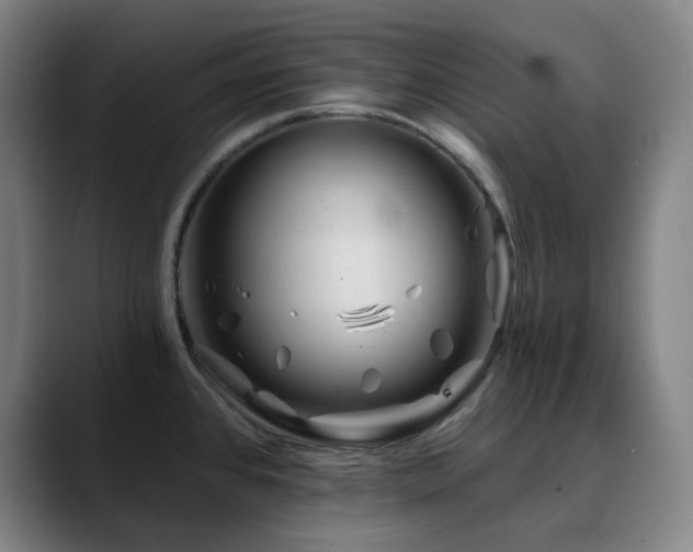 X0000090481384200707131308