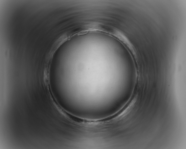 X0000090481385200707131308