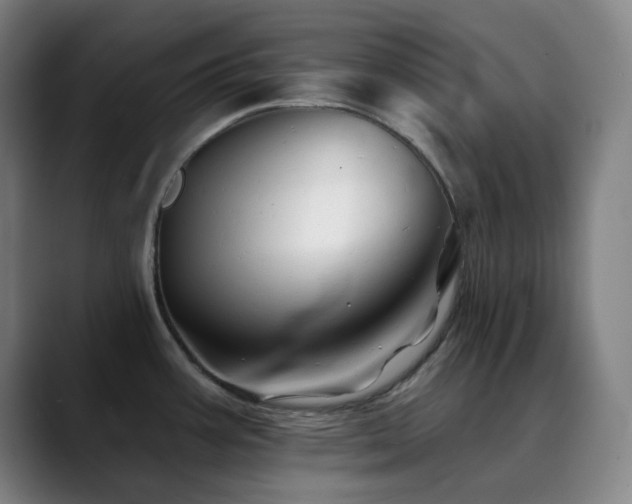 X0000090481387200707131308