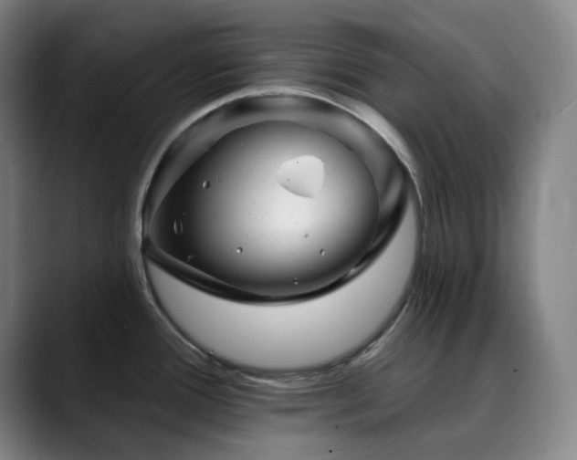 X0000090481388200707131308