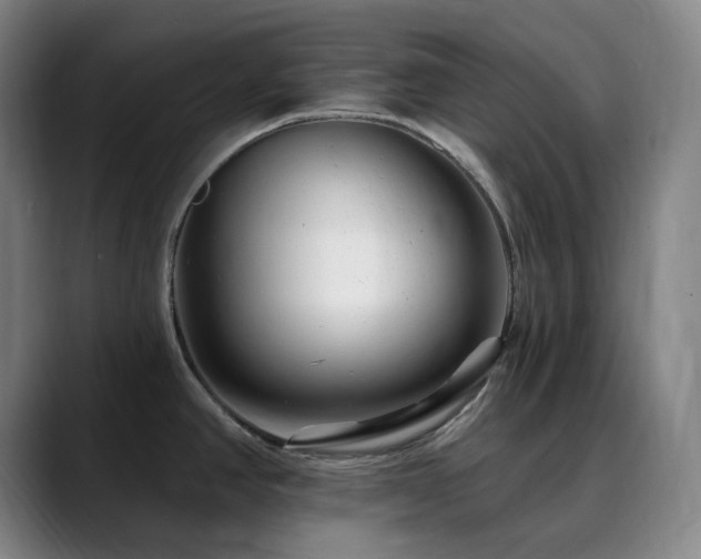 X0000090481390200707131308