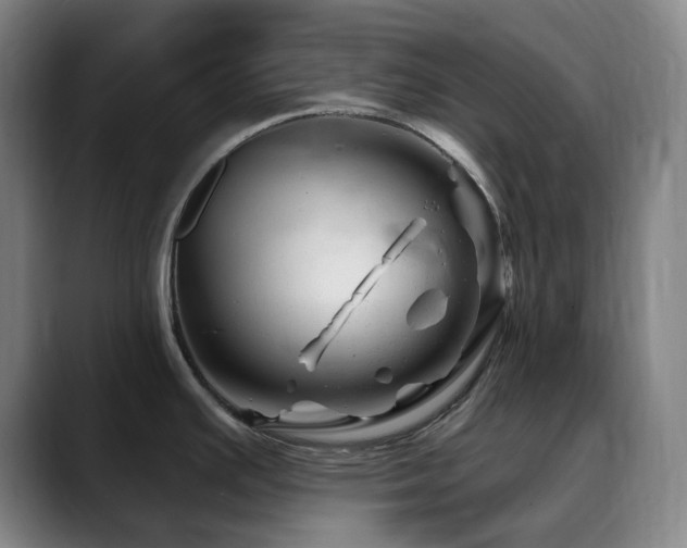 X0000090481391200707131308
